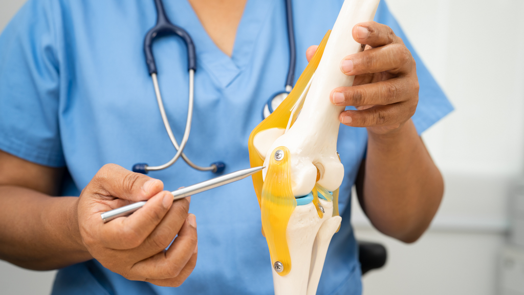5 Reasons Ortholead Pain Oil is the Best Natural Solution for Chronic Pain Relief